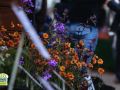 Winchester_20Years_2500px-109