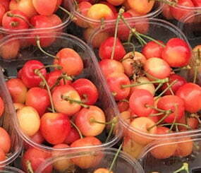 Isle of Wight Cherries