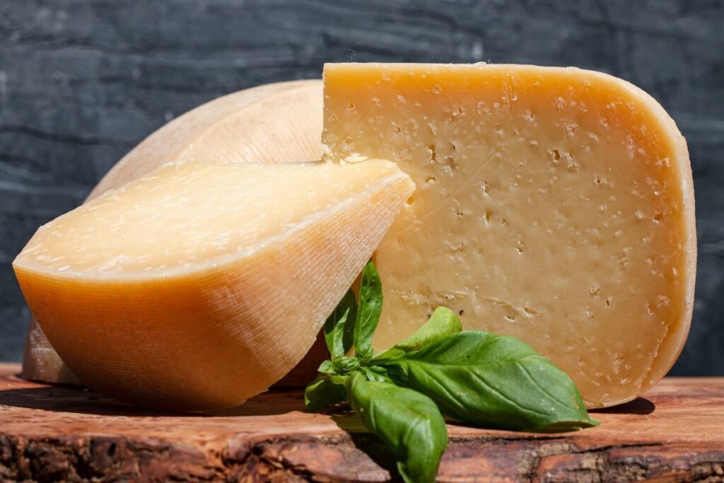 Hampshire Cheese